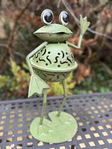 Lanterne vent léger 30cm jardin photophore grenouille