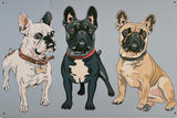 PLAQUE MÉTAL BOULEDOGUE 30X20 CM - PLAQUE DECORATIVE