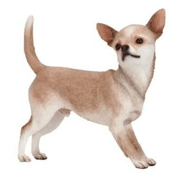 Statue Chien Chihuahua Animaux Resine - 30cm - Naturel - ANIMAUX-RESINE.FR (8904803844436)