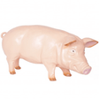 Statue Cochon Animaux Resine - 100cm - Naturel - ANIMAUX-RESINE.FR (8904893170004)