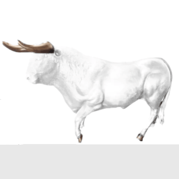 Statue Taureau Animaux Resine - 250cm - Blanc - ANIMAUX-RESINE.FR (8905657549140)